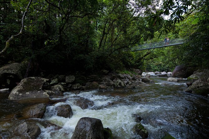 Cape Tribulation, Mossman Gorge and Daintree Rainforest Day Tour - Suitability and Considerations
