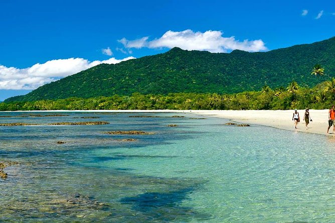 Cape Tribulation, Mossman Gorge and Daintree Rainforest Day Tour - Scenic Journey Along Captain Cook Highway