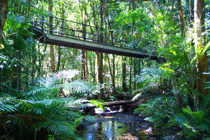 Cape Tribulation, Mossman Gorge, and Daintree Rainforest Day Trip - Pickup Details and Logistics