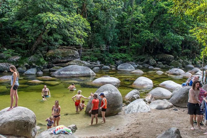 Cape Tribulation, Mossman Gorge, and Daintree Rainforest Day Trip - Daintree River Cruise Option