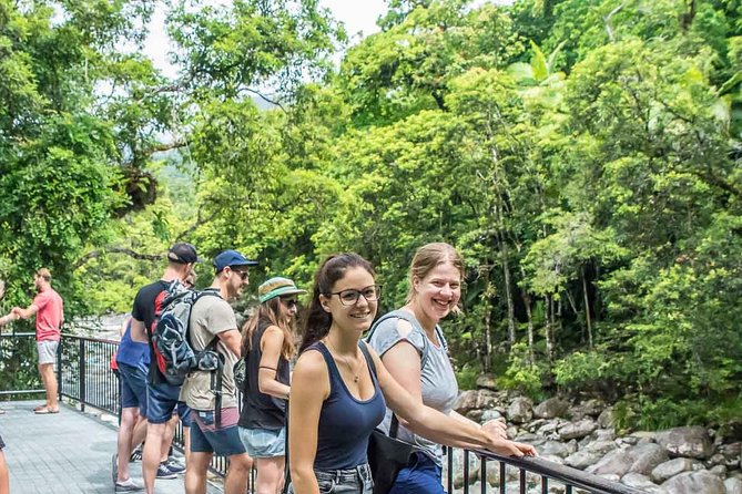 Cape Tribulation, Mossman Gorge, and Daintree Rainforest Day Trip - Guided Rainforest Walk Experiences