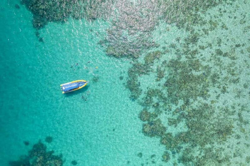 Cape Tribulation Ocean Safari - Great Barrier Reef Adventure - Introduction