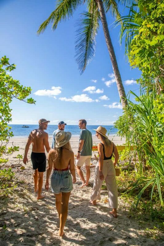 Cape Tribulation Ocean Safari - Great Barrier Reef Adventure - Key Points