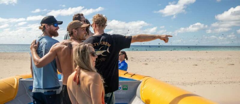 Cape Tribulation Ocean Safari - Great Barrier Reef Adventure - Authentic Encounters and Wildlife