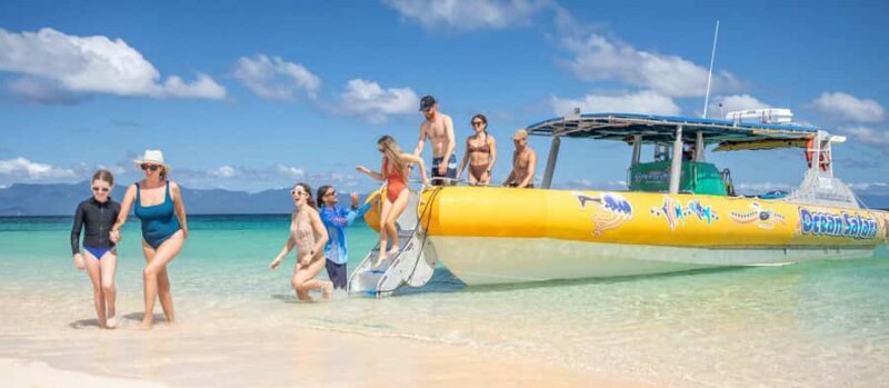 Cape Tribulation Ocean Safari - Great Barrier Reef Adventure - Practical Tips for Your Trip