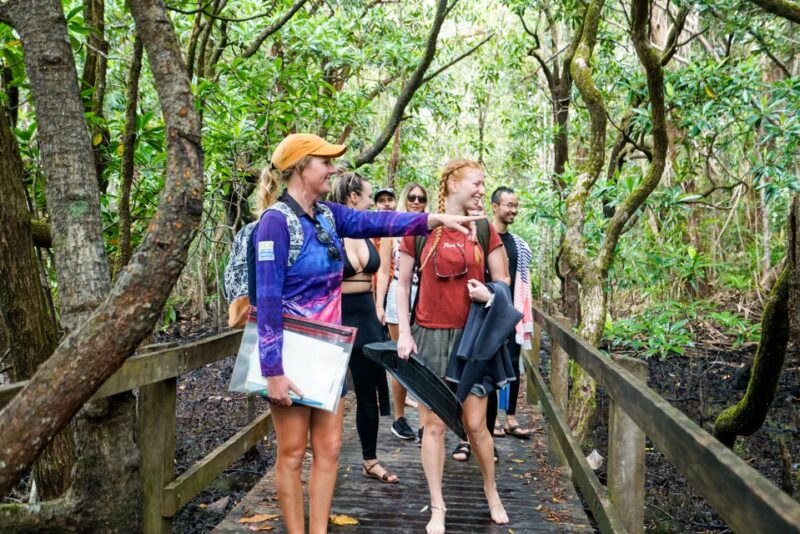 Cape Tribulation Ocean Safari Tour - Key Points