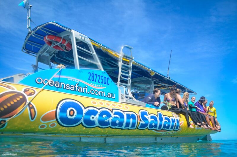 Cape Tribulation Ocean Safari Tour - Snorkeling Experiences