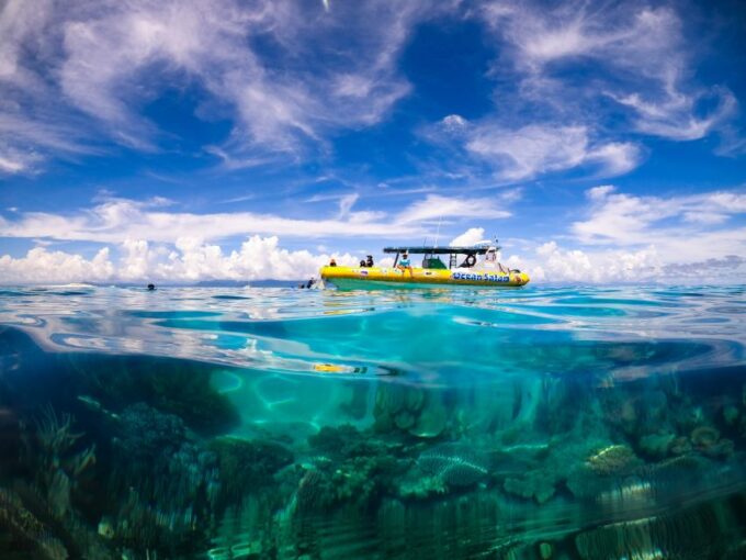 Cape Tribulation Ocean Safari Tour - Important Notes