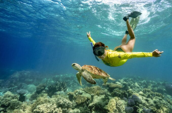 Cape Tribulation Ocean Safari Tour - Frequently Asked Questions