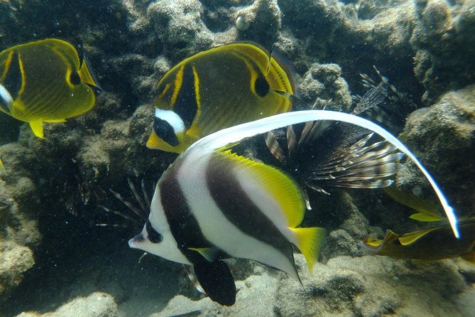 Cape Vidal Snorkeling Adventure - Meeting and End Point Location