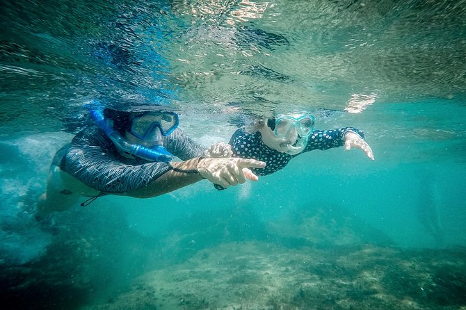 Cape Vidal Snorkeling Adventure - Positive Guest Reviews