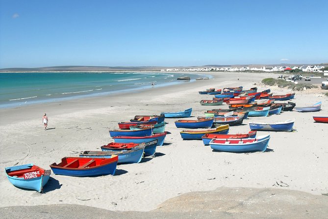 Cape West Coast Full Day Private Day Tour - Tour Overview