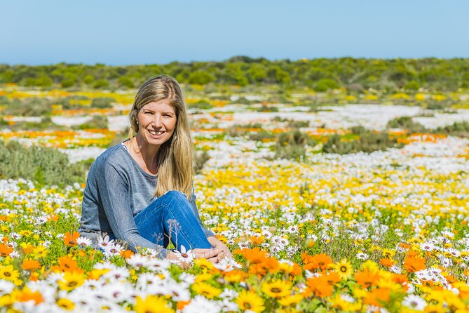 Cape West Coast Full Day Private Day Tour - Itinerary Highlights