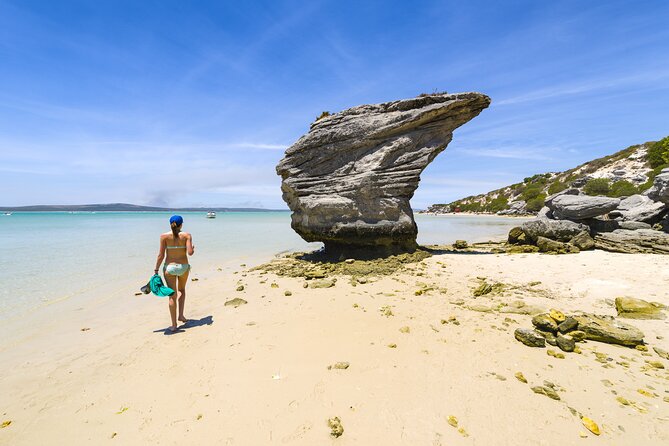 Cape West Coast Full Day Private Day Tour - Pickup and Accessibility