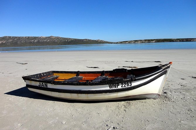 Cape West Coast Full Day Private Day Tour - Scenic Drive and Stops