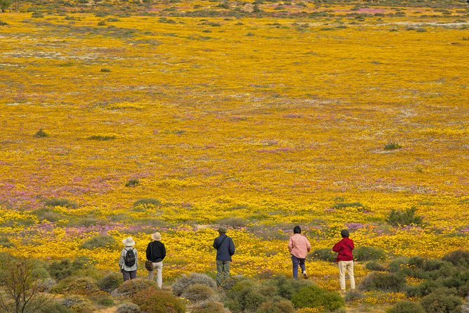 Cape West Coast Full Day Private Day Tour - Cultural Experiences