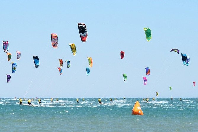 Cape West Coast Full Day Private Day Tour - Practical Information