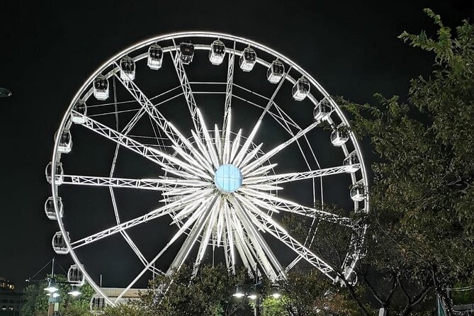 Cape Wheel Admission Ticket - Highlights of the Cape Wheel