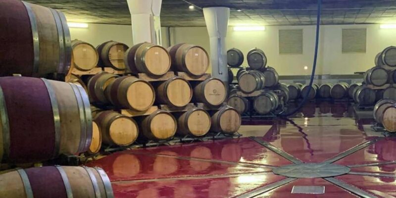 Cape Wine Farm Tours - Experience and Itinerary