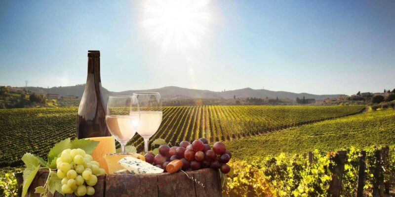 Cape Wine Farm Tours - Sustainable Practices