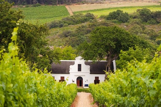 Cape Winelands and Wine Tasting Full Day Tour - Tour Details