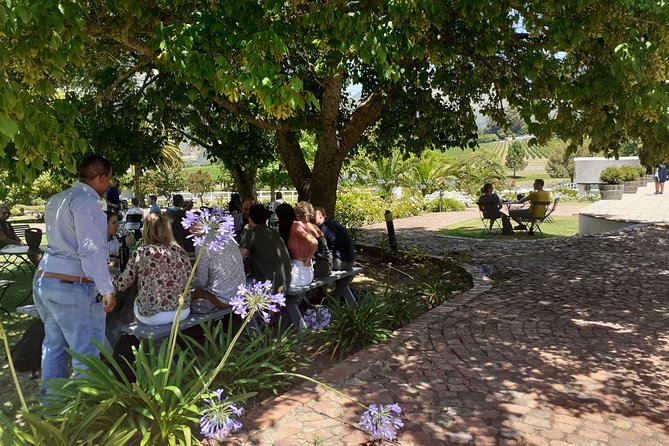 Cape Winelands and Wine Tasting Full Day Tour - Meeting and Pickup