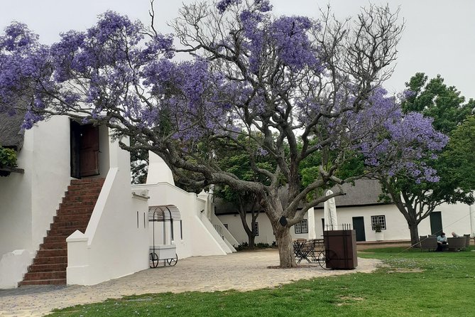 Cape Winelands and Wine Tasting Full Day Tour - Cancellation Policy