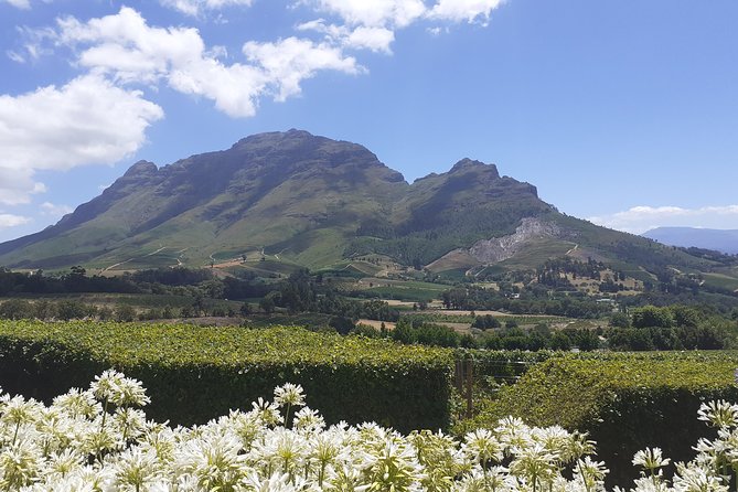 Cape Winelands and Wine Tasting Full Day Tour - Customizable Itinerary