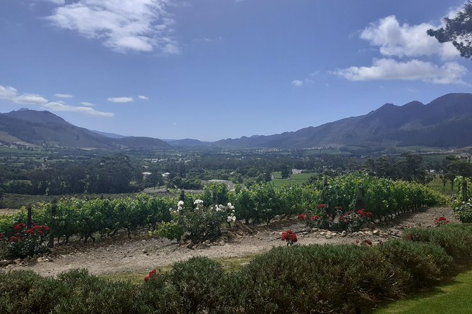 Cape Winelands and Wine Tasting Full Day Tour - Wine Tasting Experiences