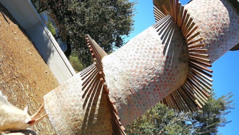 Cape Winelands Family Tour & Wildlife Encounter - Giraffe House Wildlife Awareness Centre