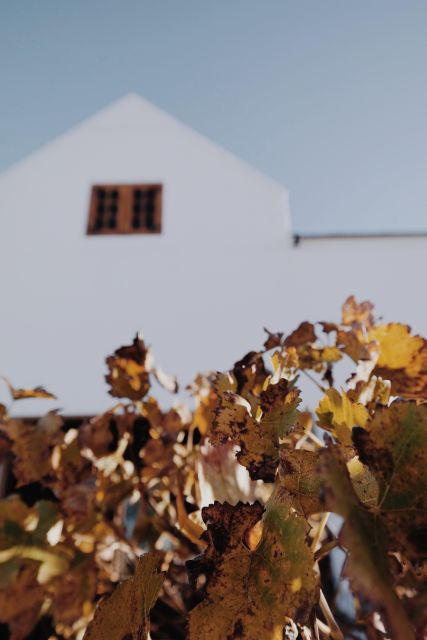 Cape Winelands Family Tour & Wildlife Encounter - Frequently Asked Questions