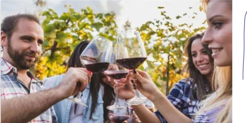 Cape Winelands Half Day Tour From Cape Town - Key Points