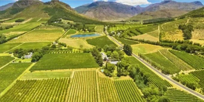 Cape Winelands Half Day Tour From Cape Town - Scenic Drives Through Winelands