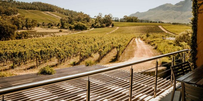 Cape Winelands: Private Full Day Tour - Customizable Experience