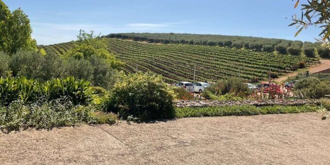 Cape Winelands Private Tour to Stellenbosch and Franschhoek - Frequently Asked Questions