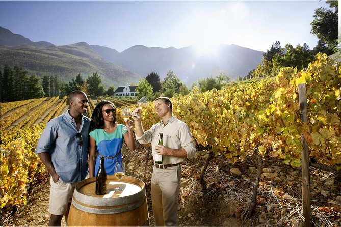 Cape Winelands Private Tour to Stellenbosch and Franschhoek - Tour Inclusions