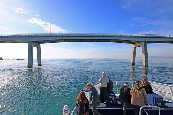 Cape Woolamai Sightseeing Cruise From San Remo - Customer Reviews and Feedback
