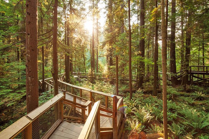 Capilano Suspension Bridge Park Ticket - Dining and Shopping Experiences