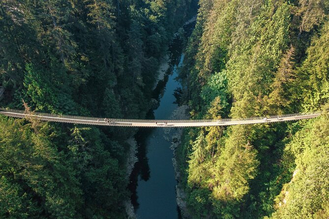 Capilano Suspension Bridge Park Ticket - Traveler Information and Tips