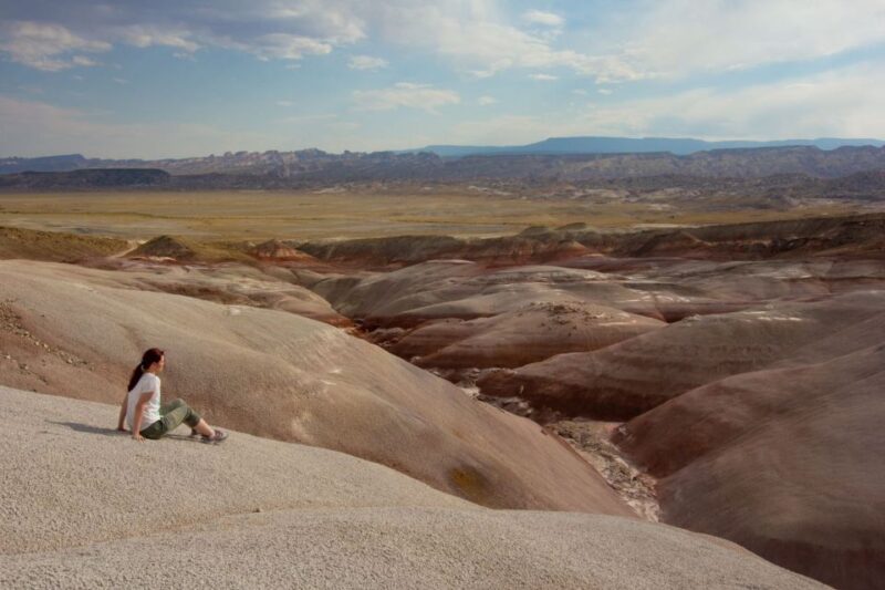 Capitol Reef National Park: Cathedral Valley Day Trip - Unique Experiences