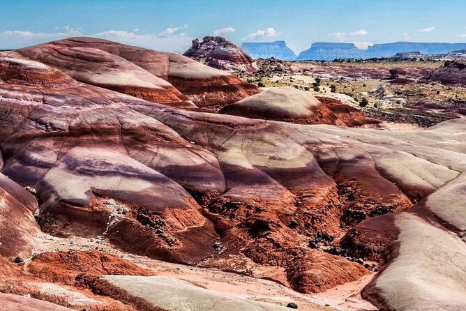 Capitol Reef Private Tour in Cathedral Valley and Bentonite Hills - Whats Included in the Tour