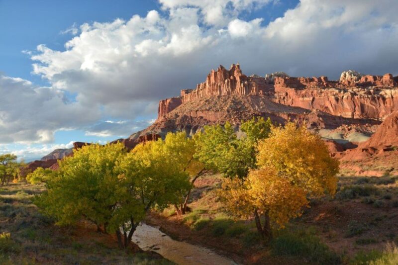Capitol Reef: Small-Group Tour & Hike - Unique Landscapes of Capitol Reef