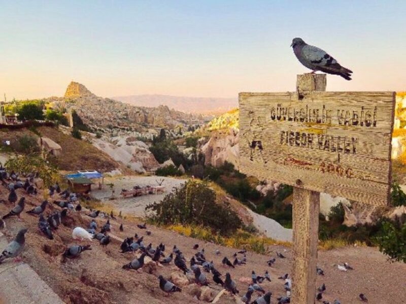 Cappadocia: All-In-One Private Day Trip - Customer Feedback