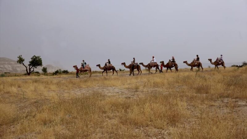 Cappadocia Camel Ride Among the Fairy Chimneys - Group Size and Guide