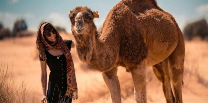 Cappadocia Camel Ride Among the Fairy Chimneys - Why Choose This Tour