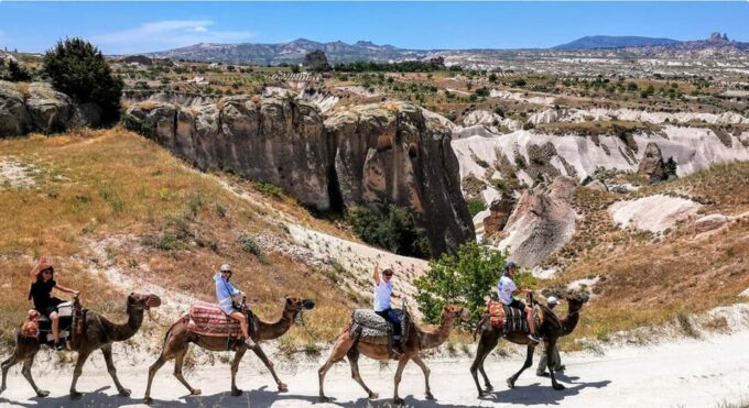 Cappadocia Camel Safari - Booking and Cancellation