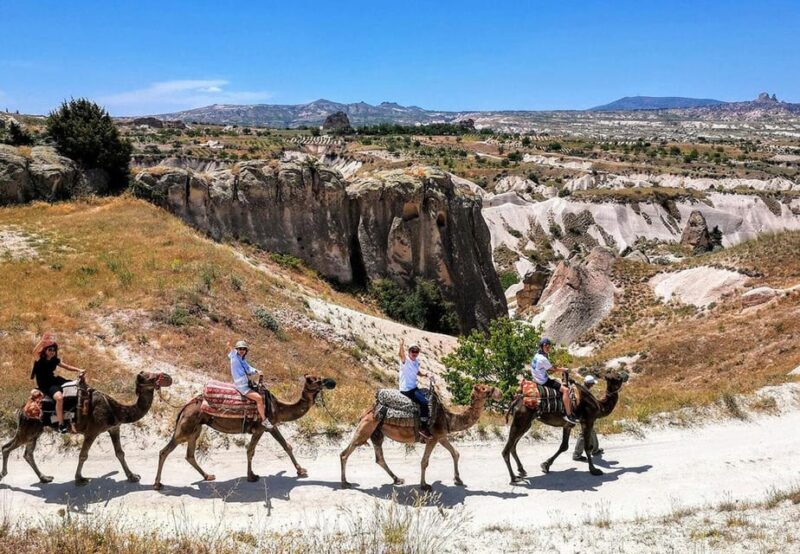Cappadocia: Camel Safari - Booking Information