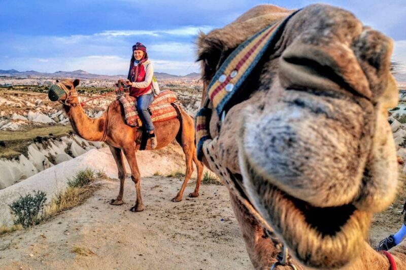 Cappadocia: Camel Safari - Customer Reviews