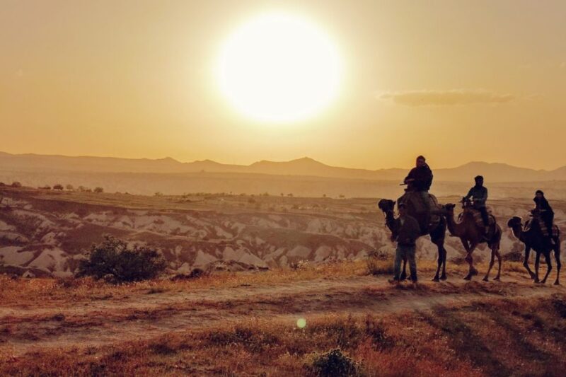 Cappadocia: Camel Safari - Booking and Availability