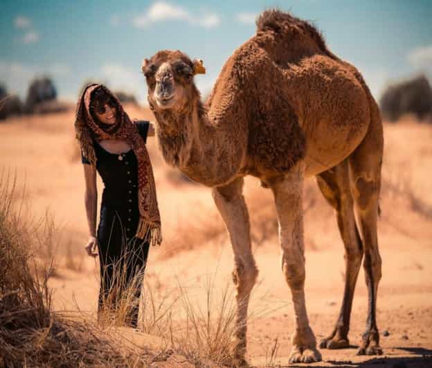 Cappadocia: Camel Safari With Transfer - Highlights of the Experience